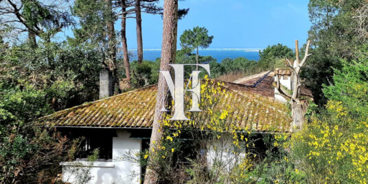 PYLA-SUR-MER – villa Gaume de plain pied sur les hauteurs